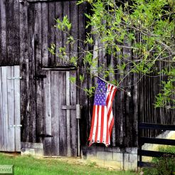 IMG_2656 The Flag and Old Barn